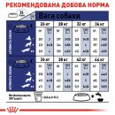 Фото - сухий корм Royal Canin MAXI ADULT 5+ (СОБАКИ ВЕЛИКИХ ПОРІД ЕДАЛТ 5+) корм для собак від 5 років