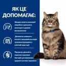 Фото - ветеринарные корма Hill's Prescription Diet Feline GASTROINTESTINAL BIOME лечебный корм для кошек с курицей