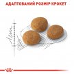 Фото - сухой корм Royal Canin AROMA EXIGENT (АРОМА ЕКСИДЖЕНТ ДЛЯ ПРИВЕРЕДЛИВЫХ) сухой корм для взрослых кошек