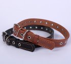Фото 2 - амуниция Collar (Коллар) - БЕЗРАЗМЕРНЫЙ кожаный ошейник для собак одинарный, черный