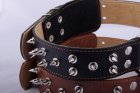 Фото 3 - амуниция Collar (Коллар) ДВОЙНОЙ С ШИПАМИ ошейник для собак, кожа, черный