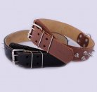 Фото 2 - амуниция Collar (Коллар) ДВОЙНОЙ С ШИПАМИ ошейник для собак, кожа, черный