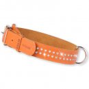 Фото - амуниция Collar Кожаный ошейник двойной для собак со стразами