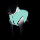 Фото 2 - одежда Collar (Коллар) AIRY VEST LUMI двухсторонняя куртка для собак СВЕТЯЩАЯСЯ, оранжево-салатовая