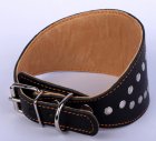 Фото 2 - амуниция Collar БОРЗЯТНИК - Кожаный ошейник для собак с заклепками