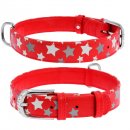 Фото - амуниция CoLLaR Glamour - кожаный СВЕТООТРАЖАЮЩИЙ ошейник для собак с украшением ЗВЕЗДОЧКА, КРАСНЫЙ