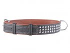 Фото 2 - амуниция Collar WAUDOG Soft кожаный ошейник с заклепками для собак c QR паспортом, черный