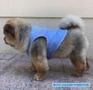 Фото 4 - одежда Trixie COOLING VEST Охлаждающий жилет для собак