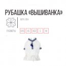 Фото 3 - одяг Pet Fashion Сорочка-вишиванка для собак