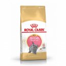 Фото - сухой корм Royal Canin Kitten BRITISH SHORTHAIR (БРИТАНСКАЯ КОРОТКОШЕРСТНАЯ КИТТЕН) корм для котят до 12 месяцев