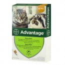 Фото - от блох и клещей BAYER Advantage капли от блох и власоедов для котов, котят и кроликов