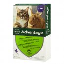 Фото - от блох и клещей BAYER Advantage капли от блох и власоедов для котов, котят и кроликов