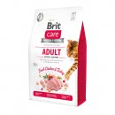 Фото - сухой корм Brit Care Cat Grain Free Adult Activity Support Chicken & Turkey беззерновой сухой корм для активных кошек КУРИЦА и ИНДЕЙКА