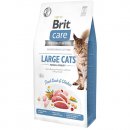 Фото - сухой корм Brit Care Cat Grain Free Large Power & Vitality Duck & Chicken беззерновой сухой корм для кошек крупных пород УТКА и КУРИЦА