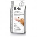 Фото - ветеринарні корми Brit Veterinary Diet Dog Grain Free Joint & Mobility Herring & Pea беззерновий сухий корм для собак при захворюваннях суглобів ОСЕЛЕДЕЦЬ та ГОРОХ