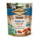 Фото - ласощі Carnilove SALMON & BLUEBERRIES (ЛОСОСЬ І ЧОРНИЦЯ) ласощі для собак Покращення роботи мозку