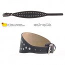 Фото 3 - амуниция Collar БОРЗЯТНИК - Кожаный ошейник для собак с заклепками