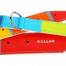 Фото 2 - амуніція Collar ГЛАМУР РАДУГА нашийник для собак