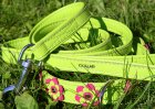 Фото 5 - амуниция CoLLaR Glamour - кожанный ошейник для собак с украшением аппликация