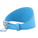 Фото 2 - амуниция Collar Glamour - Ошейник для борзых собак