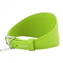 Фото - амуниция Collar Glamour - Ошейник для борзых собак