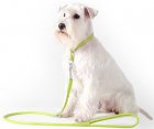 Фото 6 - амуниция Collar Glamour Поводок для собак круглый