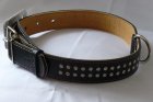 Фото 3 - амуниция Collar Кожаный ошейник двойной для собак со стразами