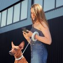 Фото 8 - рулетки Collar WAUDOG Поводок-рулетка круглая, лента, белый