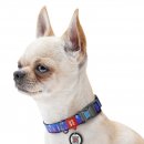 Фото 3 - амуниция Collar WAUDOG Nylon ошейник c QR паспортом, пластиковый фастекс, ЛОВЕЦ СНОВ