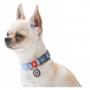 Фото 3 - амуниция Collar WAUDOG Re-cotton с QR паспортом, ошейник из восстановленного хлопка, пластиковая пряжка, ГОЛУБОЙ