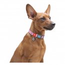 Фото 2 - амуніція Collar WAUDOG Re-cotton з QR паспортом, нашийник з відновленої бавовни, пластикова пряжка, РОЖОВИЙ