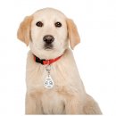 Фото 4 - від бліх та кліщів Collar WAUDOG TICKLESS ультразвуковий відлякувач кліщів та бліх