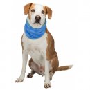 Фото - одежда Trixie COOLING BANDANA охлаждающая бандана для собак