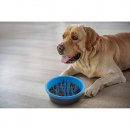 Фото 3 - миски, напувалки, фонтани Dexas FEEDER SLOW DOG BOWL миска силіконова для повільного годування, яскраво-блакитний/сірий