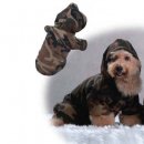 Фото 5 - одяг DoggyDolly Сamouflage - Комбінезон для собак