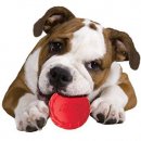 Фото 5 - игрушки Hagen NERF DOG Tire Squeak Ball игрушка для собак, с пищалкой