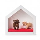 Фото 2 - спальные места, лежаки, домики Harley & Cho SHELTER домик-будка для собак и котов