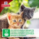 Фото - сухой корм Hill's Science Plan Kitten Healthy Development корм для котят с курицей