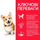 Фото - сухий корм Hill's Science Plan корм для маленьких собак до 10 кг з ягнятком