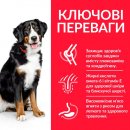 Фото - сухий корм Hill's Science Plan Fitness ADULT LARGE корм для собак великих порід З ЯГНЯМ І РИСОМ