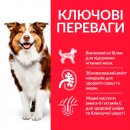 Фото - сухой корм Hill's Science Plan Mature Adult 7+ Active Longevity корм для собак средних пород с курицей