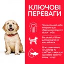 Фото - сухой корм Hill's Science Plan PUPPY LARGE BREED корм для щенков крупных пород с курицей