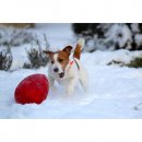 Фото 3 - іграшки Jolly Pets JOLLY EGG іграшка для собак, веселе яйце