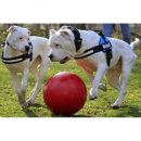 Фото 4 - іграшки Jolly Pets BOUNCE-N-PLAY іграшка для собак, м'яч ВЕЛИКИЙ