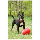 Фото 4 - іграшки Jolly Pets JOLLY EGG іграшка для собак, веселе яйце