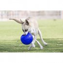 Фото 3 - игрушки Jolly Pets JOLLY SOCCER BALL игрушка для собак, футбольный мяч
