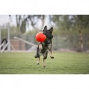 Фото 4 - игрушки Jolly Pets JOLLY SOCCER BALL игрушка для собак, футбольный мяч