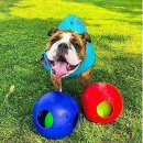 Фото 4 - игрушки Jolly Pets TEASER BALL игрушка для собак, мяч в мяче МАЛЫЙ