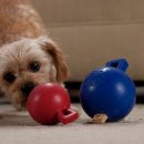 Фото 3 - іграшки Jolly Pets TUG-N-TOSS MINI іграшка для собак, м'яч із ручкою міні