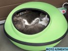 Фото 2 - спальні місця, лежаки K&H Thermo-Mod Dream Pod лежак-будиночок з електропідігрівом для котів